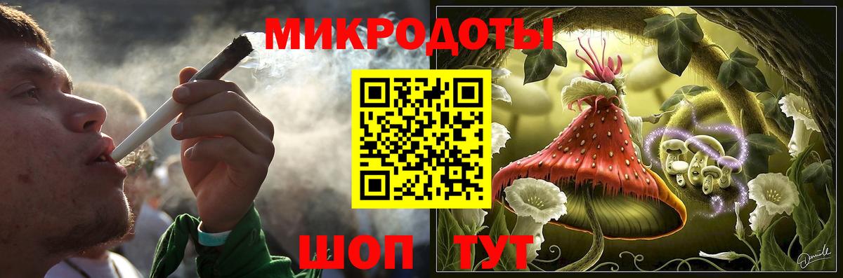 Галлюциногенные грибы Psilocybine cubensis Надым